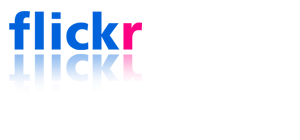 flickr logo